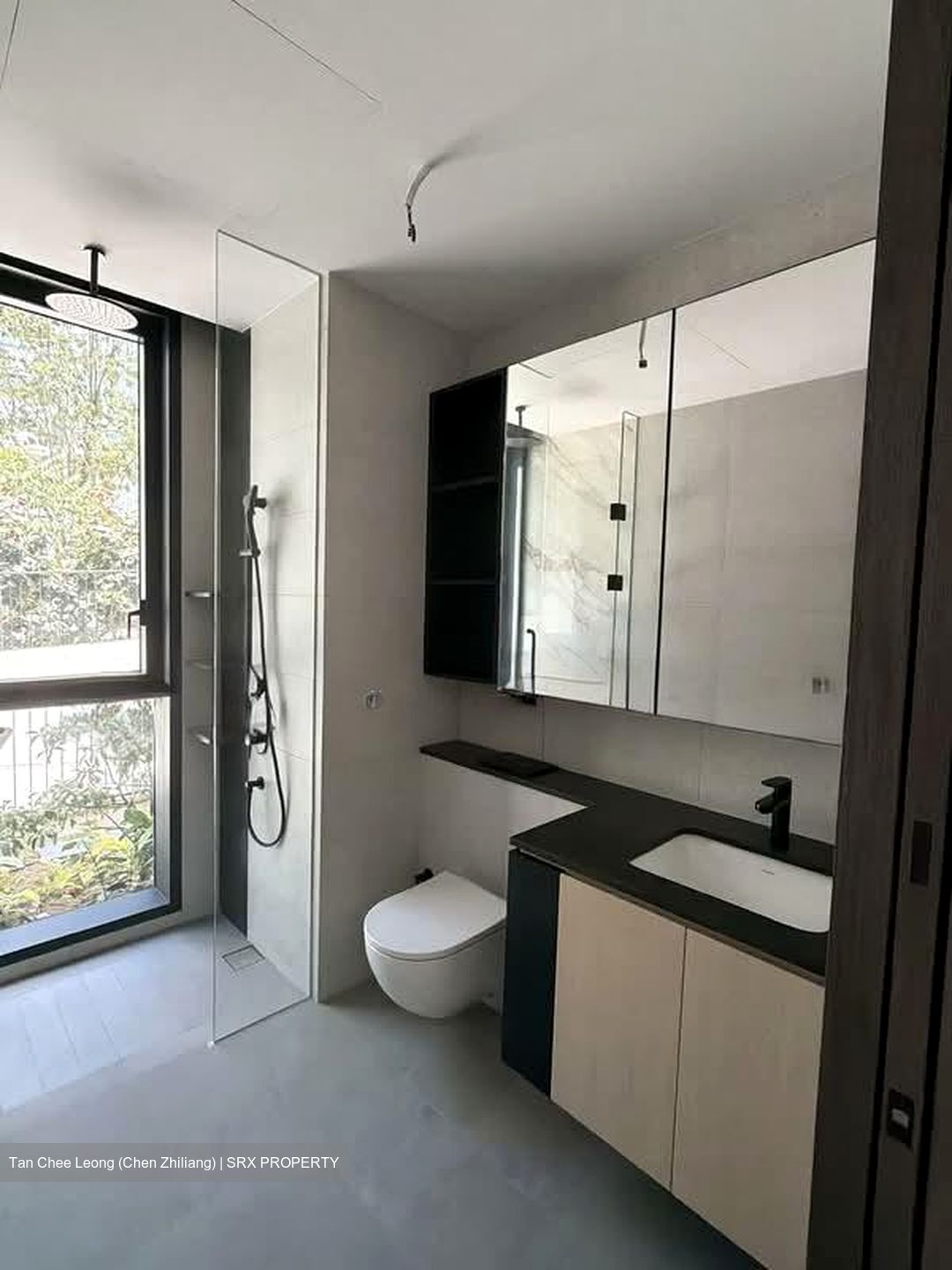 Jervois Mansion (D10), Apartment #534910051